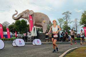 BIB: 
                            <button type="button" onclick="openModal(26528979)" class="btn btn-primary btn-sm float-right btn-popup" data-toggle="modal" data-target=".modal-high-quality">
                        <i class="fas fa-shopping-cart"></i> Add to Cart
                    </button>
                                            <button type="button" onclick="isThisMe(26528979, true)" class="btn btn-success btn-sm float-right btn-popup btn-isme hidden" data-toggle="tooltip" data-placement="bottom" title="นี่คือรูปของคุณใช่ไหม คลิกที่นี่เพื่อเอาเข้าอัลบั้ม">
                        <i class="fas fa-plus"></i> Add to album
                    </button>
                    <button type="button" onclick="isThisMe(26528979, false)" class="btn btn-warning btn-sm float-right btn-popup btn-isnotme hidden">
                        <i class="fas fa-ban"></i> Remove from album
                    </button>